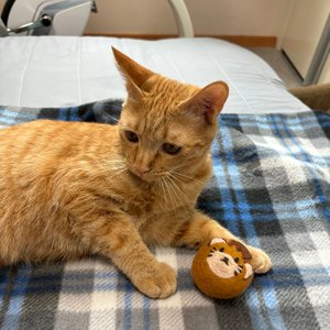 베스트 후기 이미지
