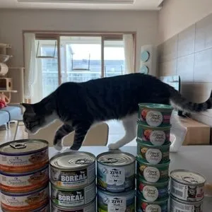 베스트 후기 이미지