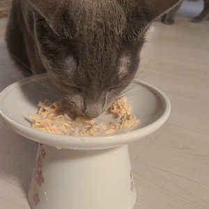 베스트 후기 이미지