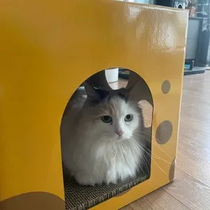 베스트 후기 이미지