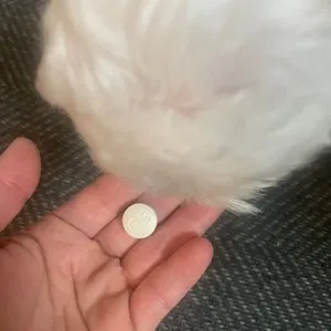 베스트 후기 이미지