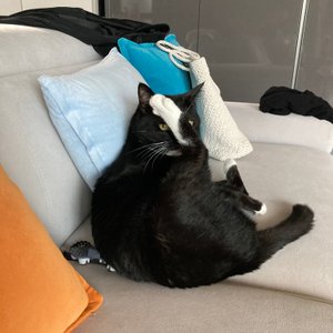 베스트 후기 이미지