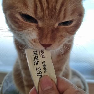 베스트 후기 이미지