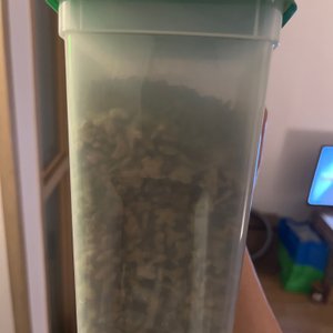 베스트 후기 이미지