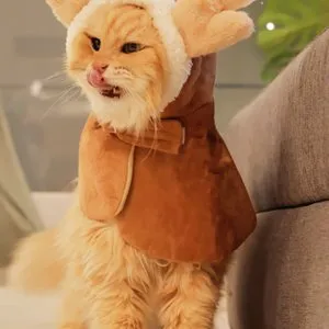 베스트 후기 이미지