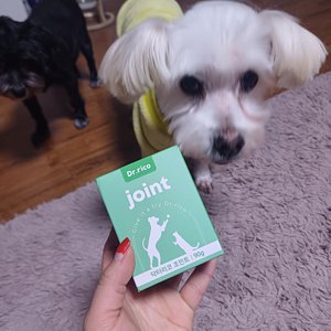 베스트 후기 이미지