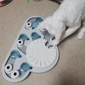 베스트 후기 이미지