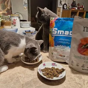 베스트 후기 이미지