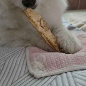 베스트 후기 이미지