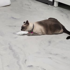베스트 후기 이미지