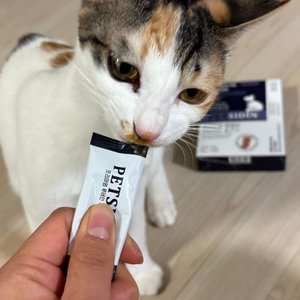 베스트 후기 이미지