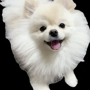 베스트 후기 이미지