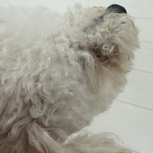 베스트 후기 이미지
