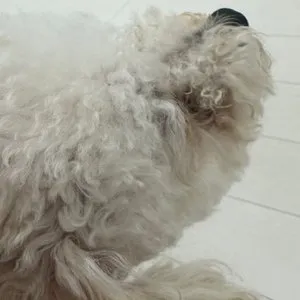 베스트 후기 이미지