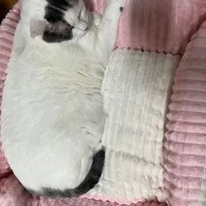 베스트 후기 이미지