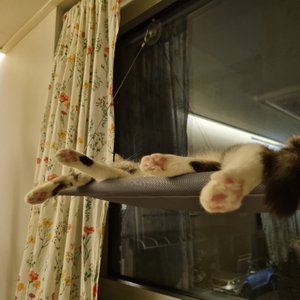 베스트 후기 이미지