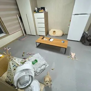 베스트 후기 이미지