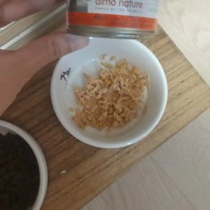 알모네이쳐 캣 닭고기&호박 캔 70g 베스트 후기 이미지