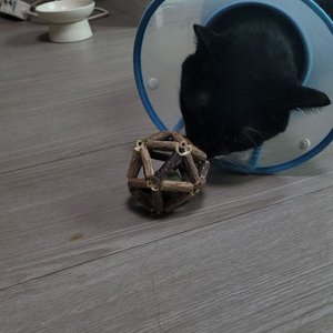 베스트 후기 이미지