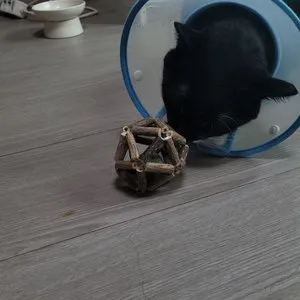 베스트 후기 이미지