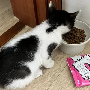 베스트 후기 이미지