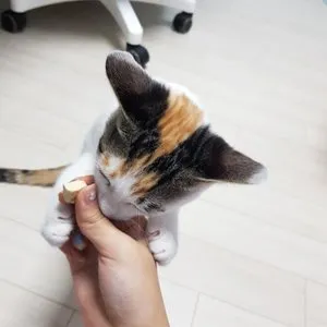 베스트 후기 이미지