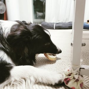 베스트 후기 이미지