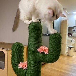 베스트 후기 이미지