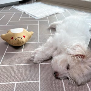 베스트 후기 이미지