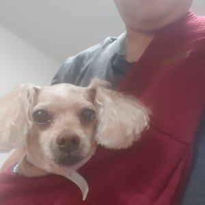 베스트 후기 이미지