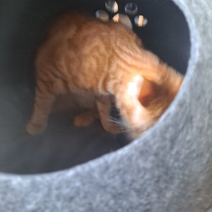 베스트 후기 이미지