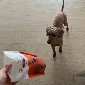베스트 후기 이미지