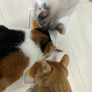 베스트 후기 이미지