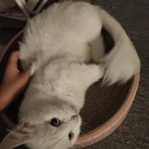 베스트 후기 이미지