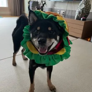 베스트 후기 이미지