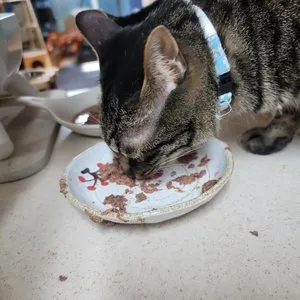 베스트 후기 이미지