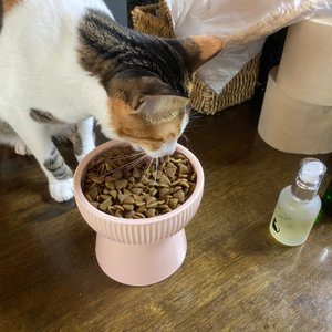 베스트 후기 이미지