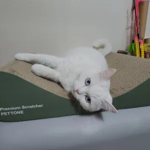 베스트 후기 이미지