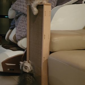베스트 후기 이미지