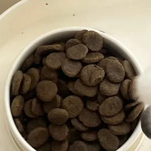 베스트 후기 이미지