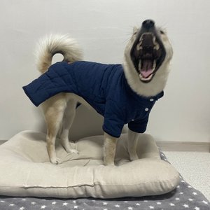베스트 후기 이미지