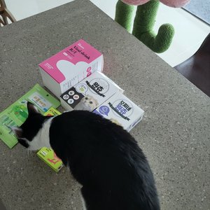 베스트 후기 이미지