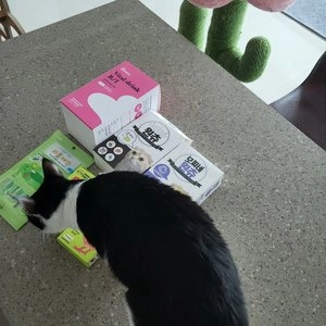 프롬한라 무항생제 닭가슴살 스틱 9g*10p 베스트 후기 이미지