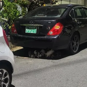 베스트 후기 이미지