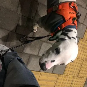 베스트 후기 이미지