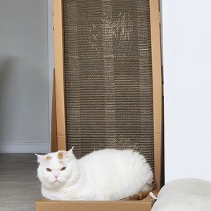베스트 후기 이미지
