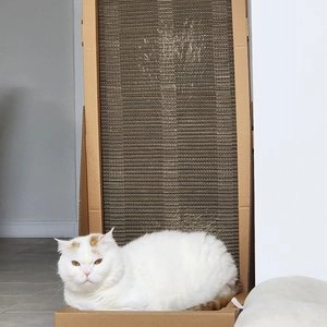 FAPER 두 번 쓰는 월스크래쳐 대형 시즌2 베스트 후기 이미지