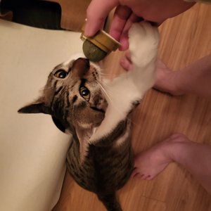 베스트 후기 이미지