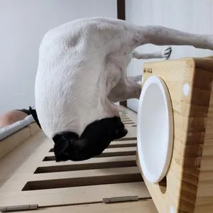 베스트 후기 이미지