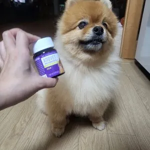 베스트 후기 이미지